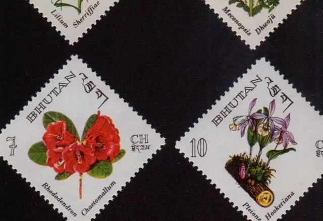 該圖片展示了不丹發行的花卉郵票,郵票上精細描繪了當地珍稀的植物物種,如杜鵑花和蘭花,展示了不丹的自然美景與生物多樣性。