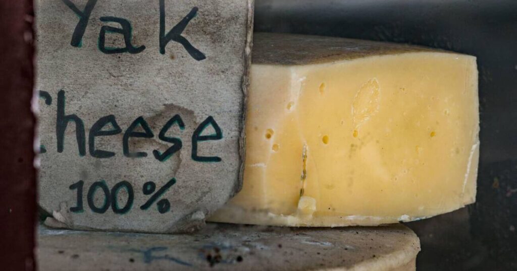 圖片展示了一塊標有「Yak Cheese 100%」的牦牛奶酪。奶酪呈淡黃色，帶有孔洞，質地堅硬，這是高海拔地區不丹特有的奶製品。奶酪的豐富風味和硬度使其成為當地人和旅客的美味零食。