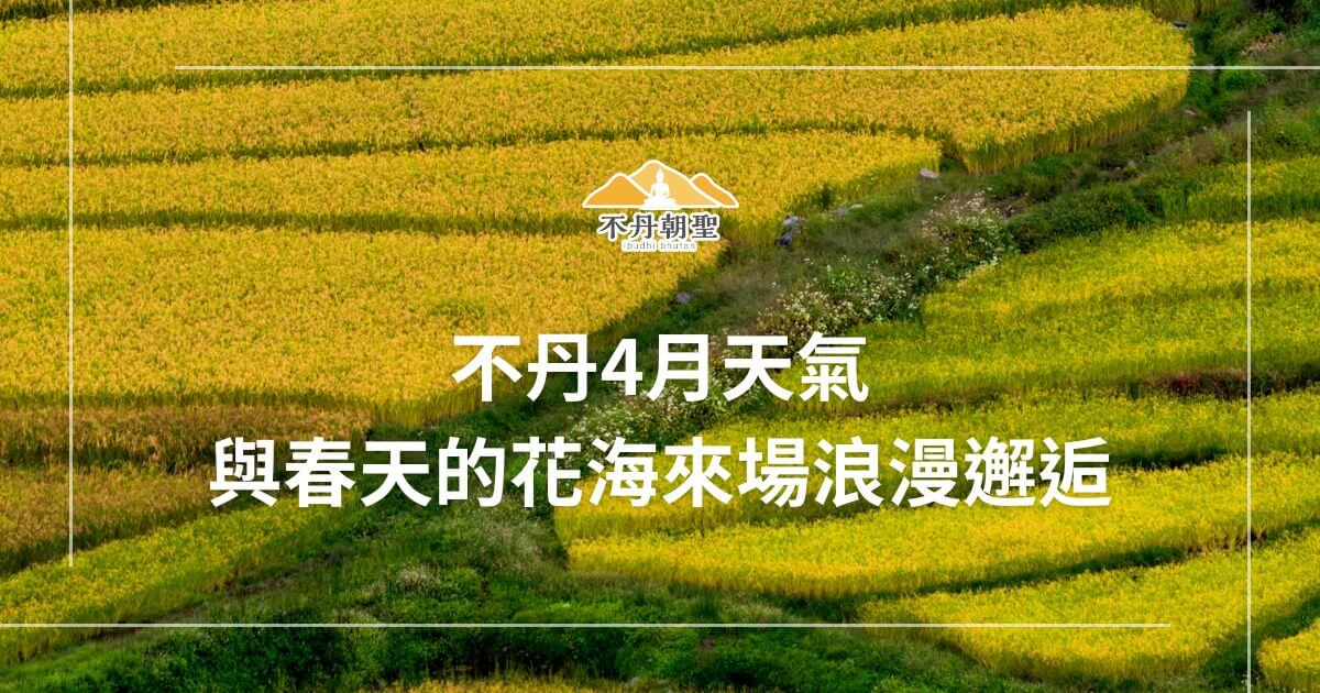 該圖片展示了不丹4月的花田風景，黃綠交錯的田野綻放出春天的色彩，呈現出浪漫的景象。圖片中央上方有「不丹朝聖」標誌，文字內容為「不丹4月天氣 與春天的花海來場浪漫邂逅」，營造出賞花的美好氛圍。