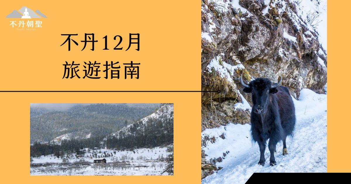 該圖片展示了不丹的雪地景觀和一隻在雪地中行走的牦牛，象徵冬季的自然之美。標題「不丹12月旅遊指南」為讀者提供不丹冬季旅遊的資訊。