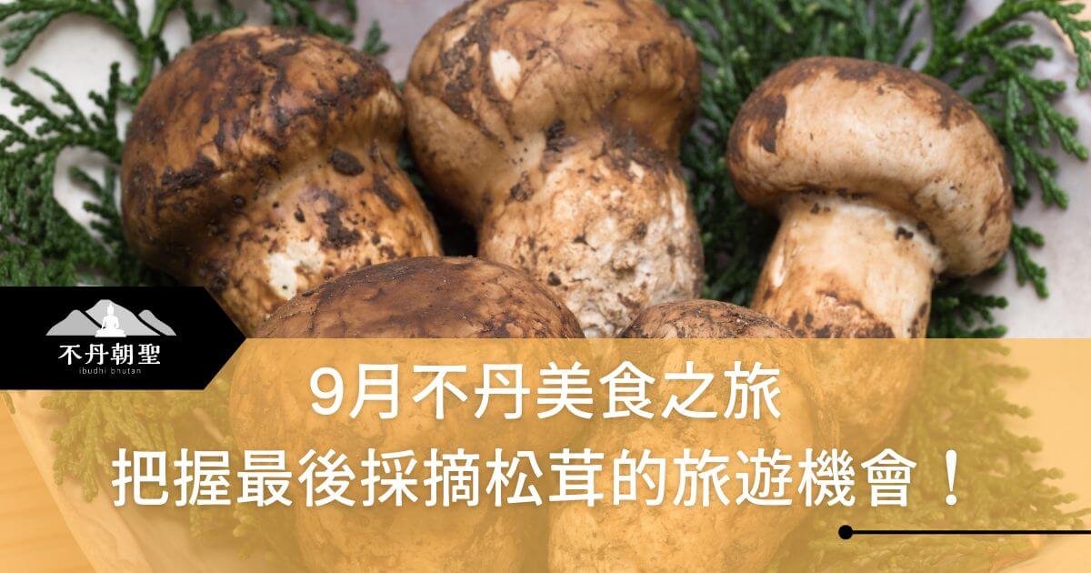 松茸特寫圖片，搭配文字「9月不丹美食之旅，把握最後採摘松茸的旅遊機會！」以自然綠葉點綴，增強對不丹旅遊的吸引力。